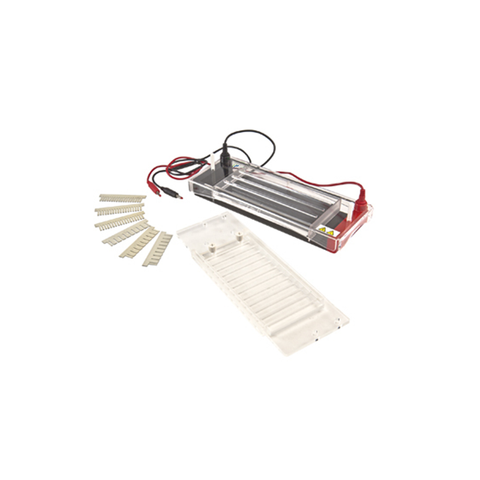 Sistema de electroforesis de gel horizontal TP-SP3: electroforesis rápida de 96 muestras con apagado automático