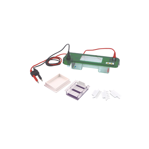 Sistema de electroforesis de gel horizontal de TP-SPAT para análisis de ADN/ARN de laboratorio