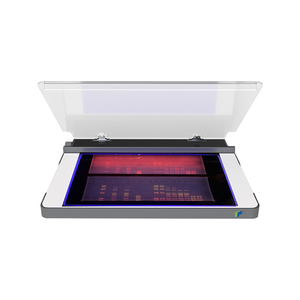 Transiluminador UV LED de 302 nm para imágenes y corte de gel de ADN/ARN | Diseño compacto y de maldad