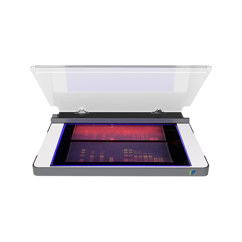 Transiluminador UV LED de 302 nm para imágenes y corte de gel de ADN/ARN | Diseño compacto y de maldad