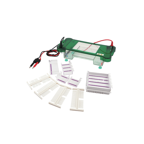 Sistema de electroforesis de gel horizontal TP-SPCT: tanque multis muestra con tapa de seguridad y tampón estable