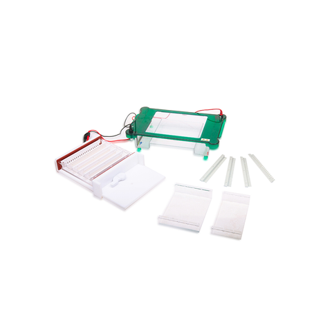 Sistema de electroforesis de gel horizontal TP-SPGT con múltiples tamaños de gel y tapa de seguridad automática