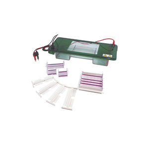 Tanque de electroforesis de gel horizontal TP-SPDT con tapa transparente y bandeja de muestra múltiple
