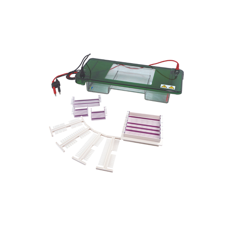 Tanque de electroforesis de gel horizontal TP-SPDT con tapa transparente y bandeja de muestra múltiple