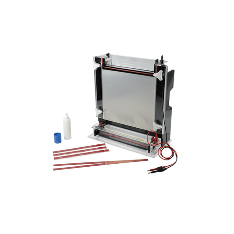 Sistema de electroforesis de gel vertical de gran formato TP-CX3B para análisis de proteínas y ADN de alta resolución