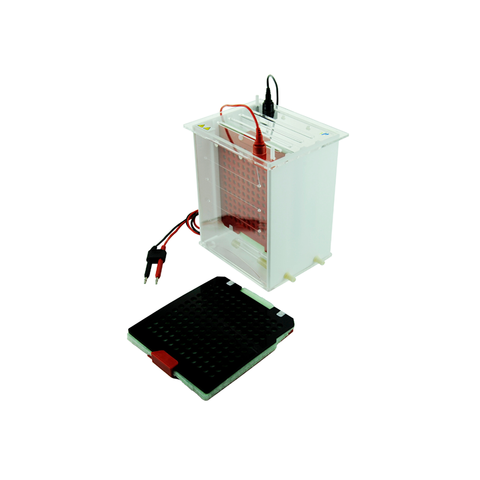 Unidad de transferencia de electroforesis en gel horizontal TP-PY2 con dispositivo de enfriamiento, área de transferencia de 175 × 175 mm