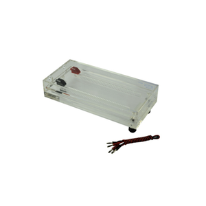 Sistema de electroforesis de enfoque isoeléctrico de isoenzima compacta para pruebas y enseñanza de pureza de semillas