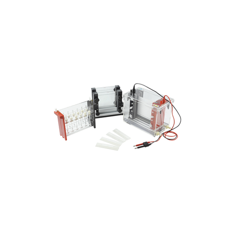 Sistema de electroforesis bidimensional TP-SX3 para la separación de proteínas | IEF y SDS-PAGE 2D Electroforesis