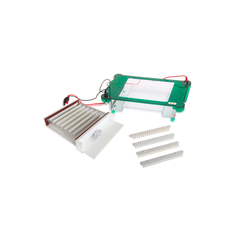 Sistema de electroforesis de gel horizontal de gran capacidad TP-SPHT para la separación de ADN y proteínas